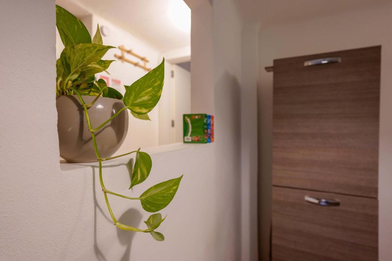 Cavaticcio Apartment Bologne Extérieur photo